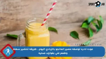 عودة نادرة لوصفة عصير المانجو بالزبادي اليوم.. طريقة تحضير سهلة وطعم غني بفوائد صحية